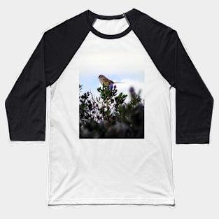 White crowned sparrow in a blue blossom Ceanothus Thyrsiflorus bush 2 Baseball T-Shirt